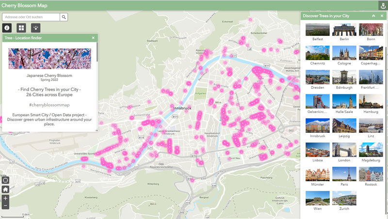 Vorschau Cherry Blossom Map – Wo finde ich japanische Kirschblütenbäume?