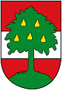 stadt-dornbirn